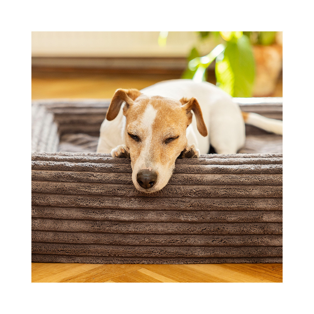 EXPLORER DOG Pelech ortopedický Cloud S 80x60