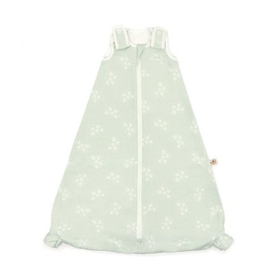 TOG 1.0 - STARY MINT