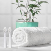 INNOGIO Náhradní hlavice k sonickému kartáčku GIOSonic