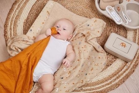BÉBÉ-JOU Box na ubrousky