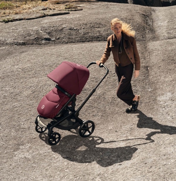 BUGABOO Fox 5 Renew complete
