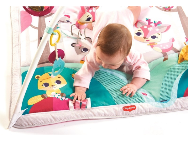 TINY LOVE Hrací deka s hrazdou Gymini Tiny Princess Tales